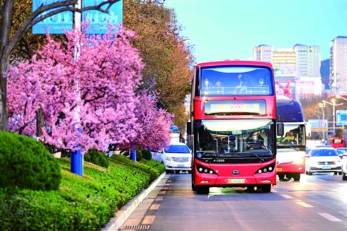 花季到来,为满足市民赏花游玩需求,济南公交将在周六、周日开通20条赏花游绿色观光出行专线,让市民直达“花海”。据了解,公交线路包含全福立交桥至泉城公园北门、腊山立交桥至千佛山、唐冶公交枢纽至泉城公园北门、济南西站公交枢纽至千佛山等,均可实现直达景区。